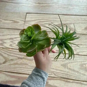 Faux plant inserts